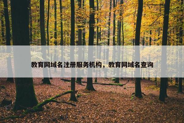 教育网域名注册服务机构，教育网域名查询