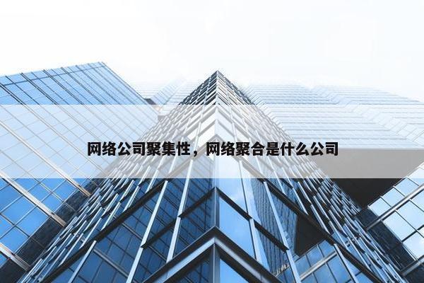 网络公司聚集性，网络聚合是什么公司