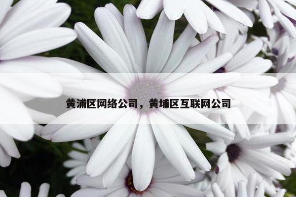黄浦区网络公司，黄埔区互联网公司