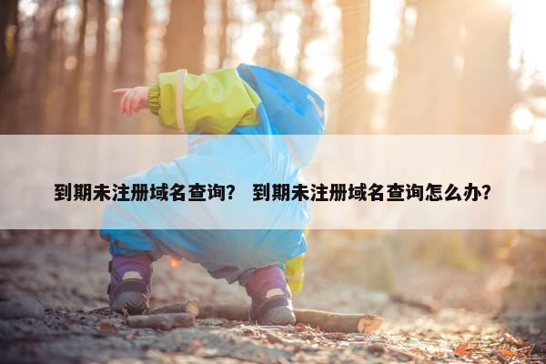 到期未注册域名查询？ 到期未注册域名查询怎么办？