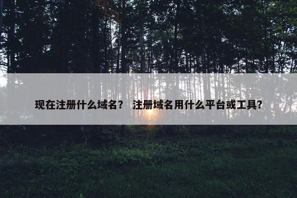 现在注册什么域名？ 注册域名用什么平台或工具？