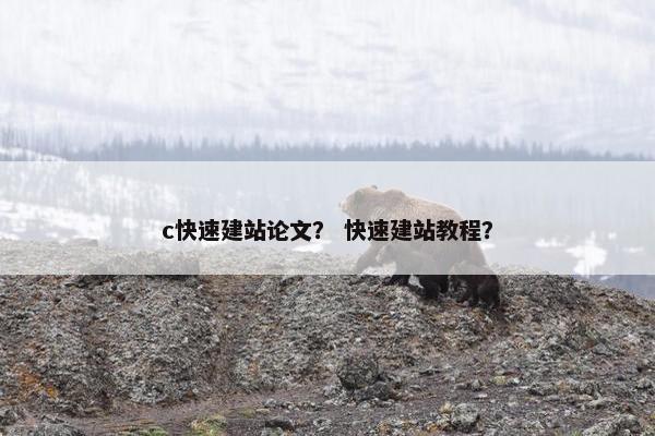 c快速建站论文？ 快速建站教程？