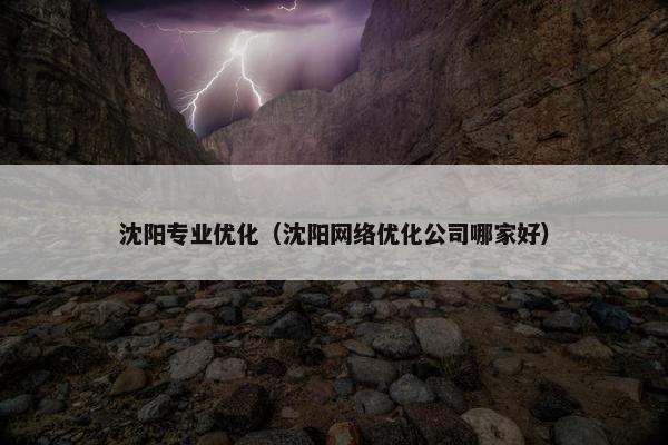 沈阳专业优化（沈阳网络优化公司哪家好）