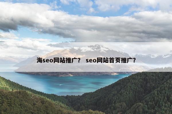 海seo网站推广？ seo网站首页推广？