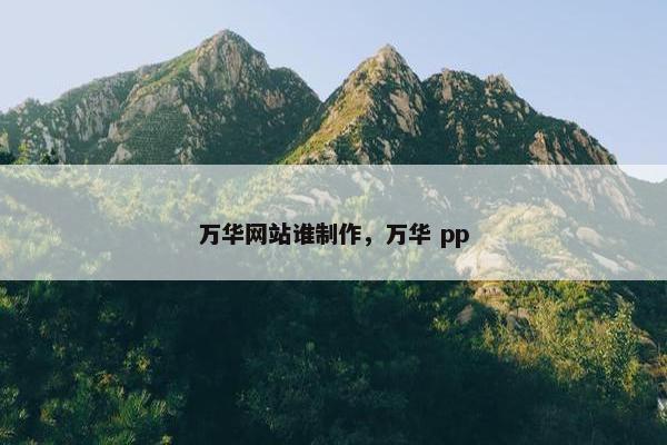 万华网站谁制作，万华 pp