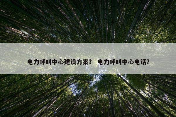 电力呼叫中心建设方案？ 电力呼叫中心电话？