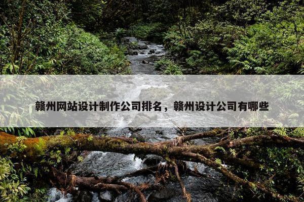 赣州网站设计制作公司排名，赣州设计公司有哪些
