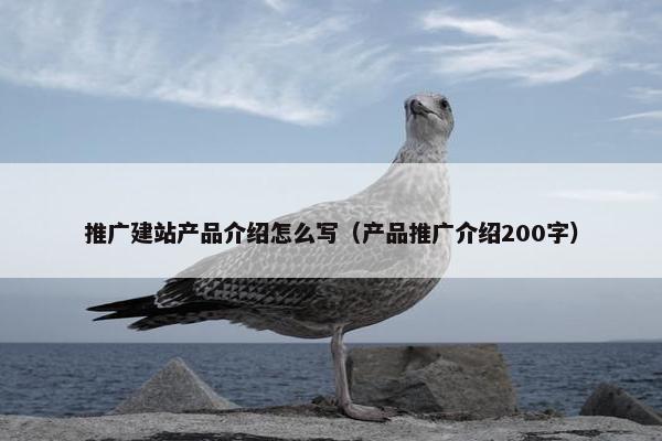 推广建站产品介绍怎么写（产品推广介绍200字）