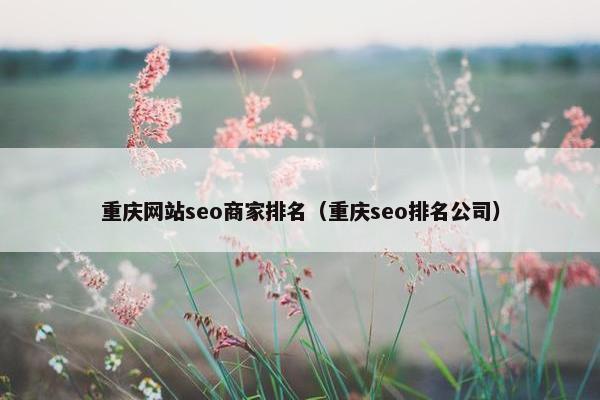 重庆网站seo商家排名（重庆seo排名公司）
