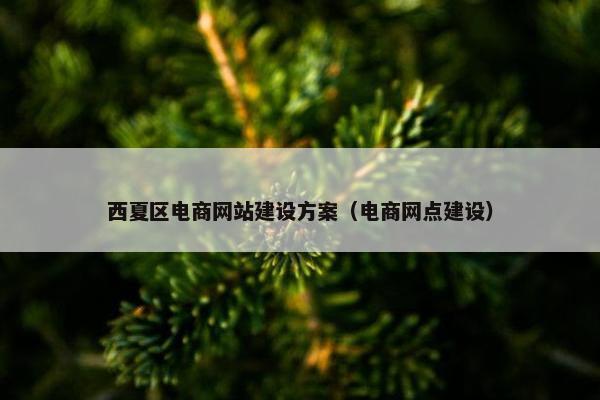 西夏区电商网站建设方案（电商网点建设）