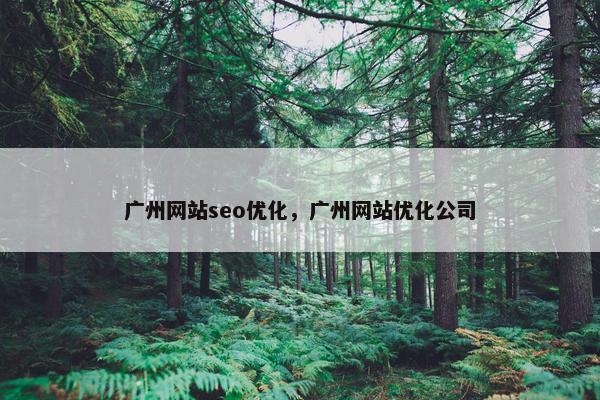 广州网站seo优化，广州网站优化公司