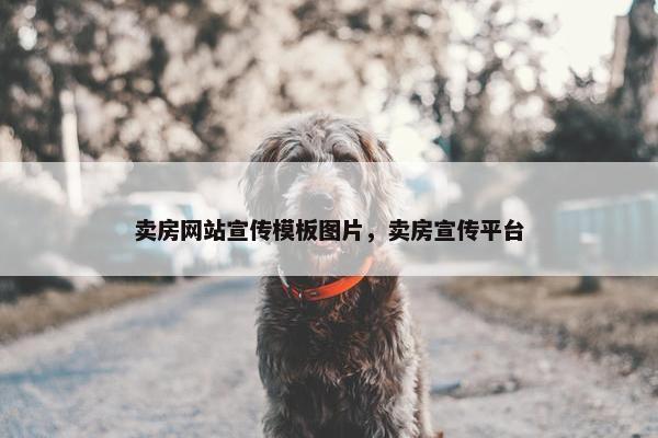 卖房网站宣传模板图片，卖房宣传平台