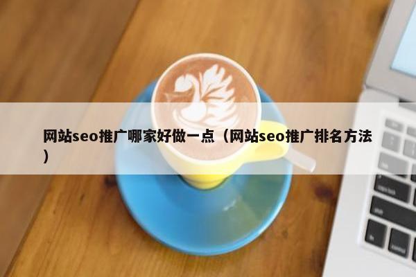 网站seo推广哪家好做一点（网站seo推广排名方法）