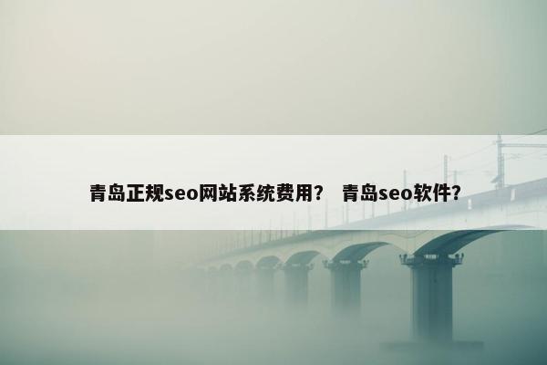 青岛正规seo网站系统费用？ 青岛seo软件？