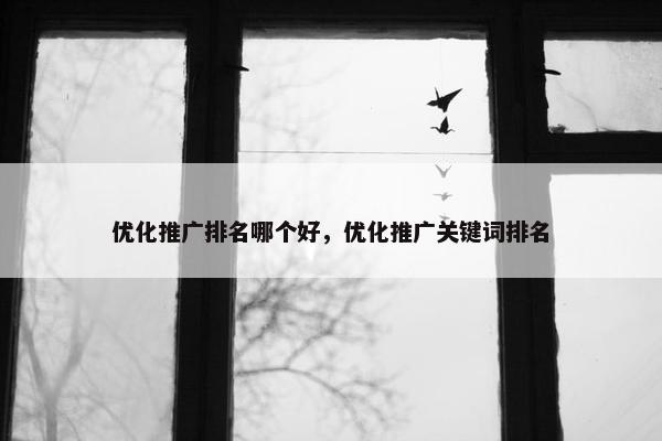 优化推广排名哪个好，优化推广关键词排名