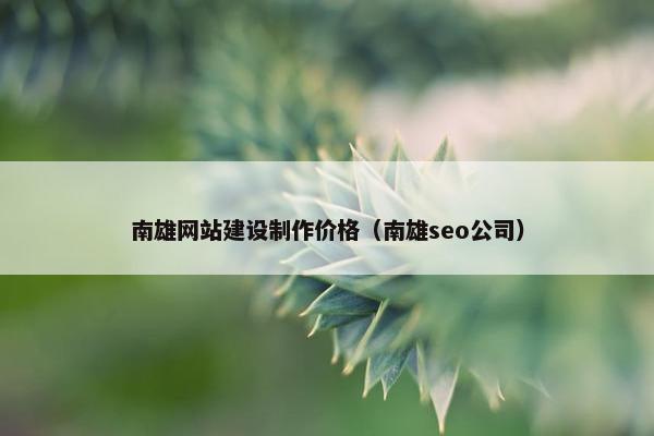 南雄网站建设制作价格（南雄seo公司）
