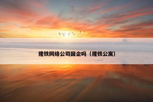 隆铁网络公司国企吗（隆铁公寓）