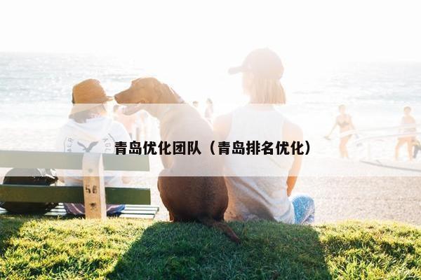 青岛优化团队（青岛排名优化）