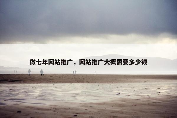 做七年网站推广，网站推广大概需要多少钱