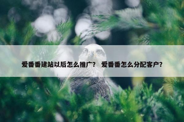 爱番番建站以后怎么推广？ 爱番番怎么分配客户？