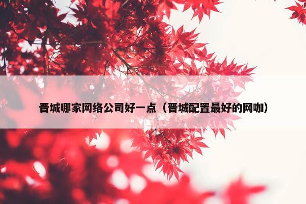 晋城哪家网络公司好一点（晋城配置最好的网咖）