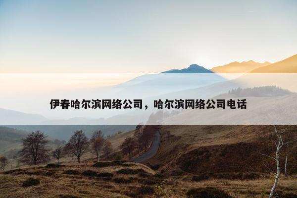 伊春哈尔滨网络公司，哈尔滨网络公司电话