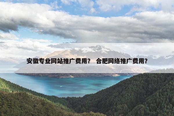 安徽专业网站推广费用？ 合肥网络推广费用？