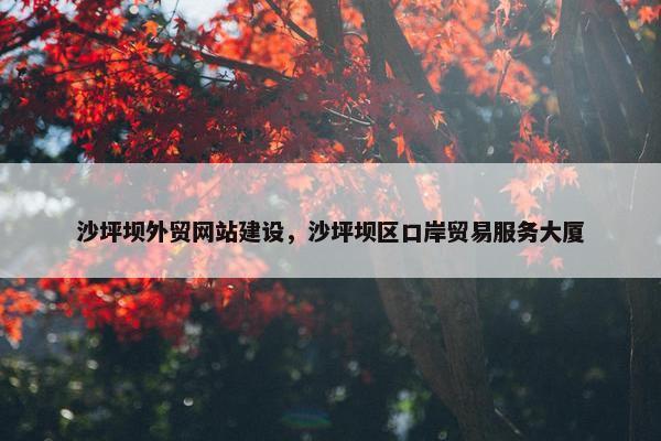 沙坪坝外贸网站建设，沙坪坝区口岸贸易服务大厦