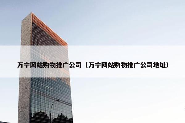 万宁网站购物推广公司（万宁网站购物推广公司地址）