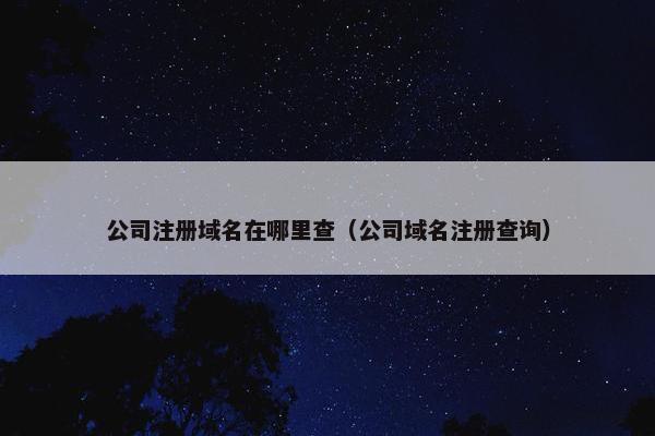 公司注册域名在哪里查（公司域名注册查询）