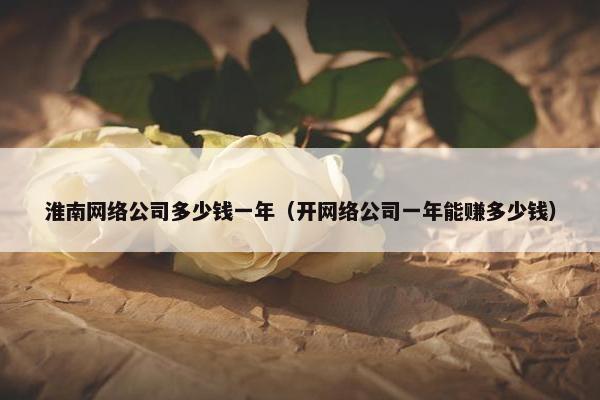 淮南网络公司多少钱一年（开网络公司一年能赚多少钱）