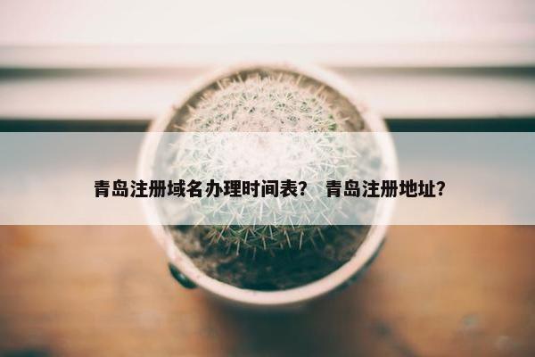 青岛注册域名办理时间表？ 青岛注册地址？
