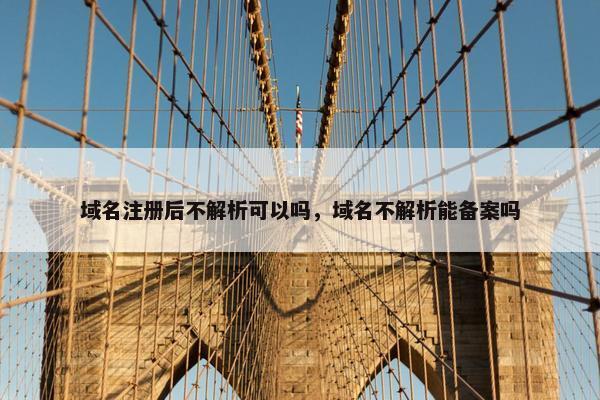域名注册后不解析可以吗，域名不解析能备案吗