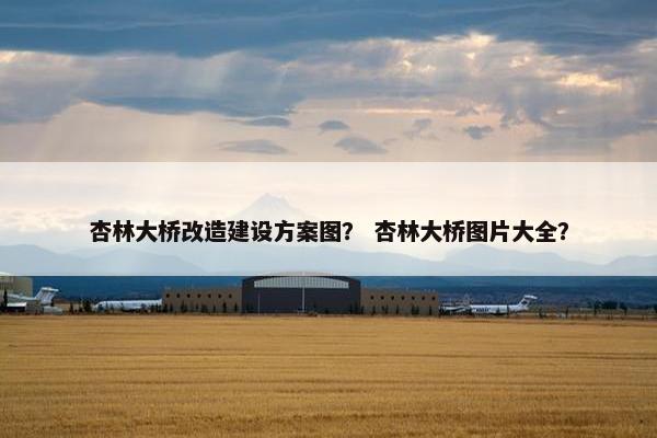 杏林大桥改造建设方案图？ 杏林大桥图片大全？