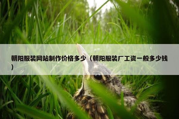 朝阳服装网站制作价格多少（朝阳服装厂工资一般多少钱）