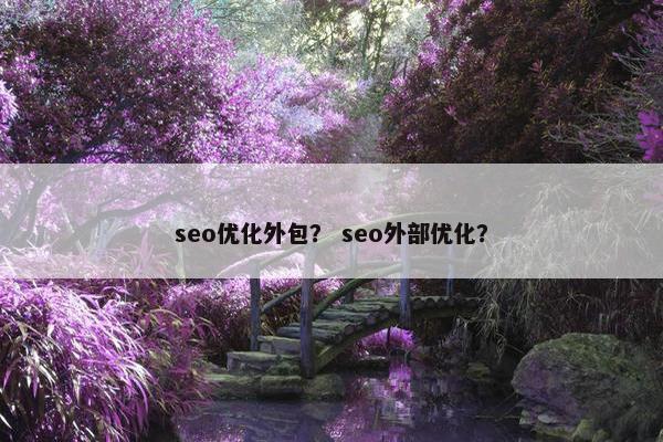 seo优化外包？ seo外部优化？