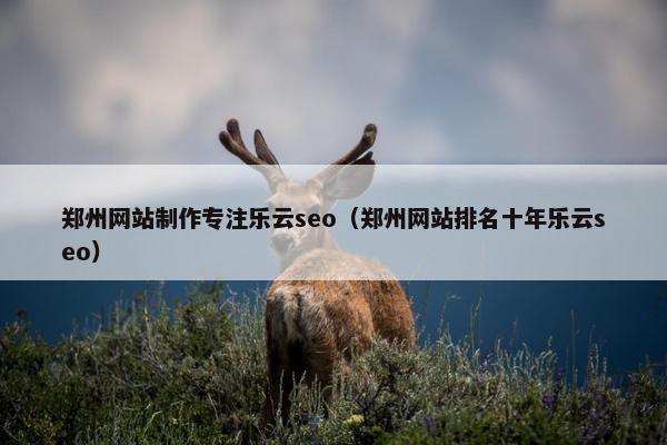 郑州网站制作专注乐云seo（郑州网站排名十年乐云seo）