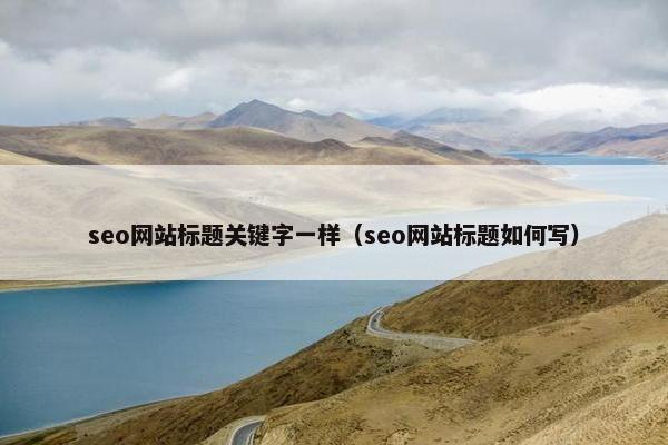 seo网站标题关键字一样（seo网站标题如何写）