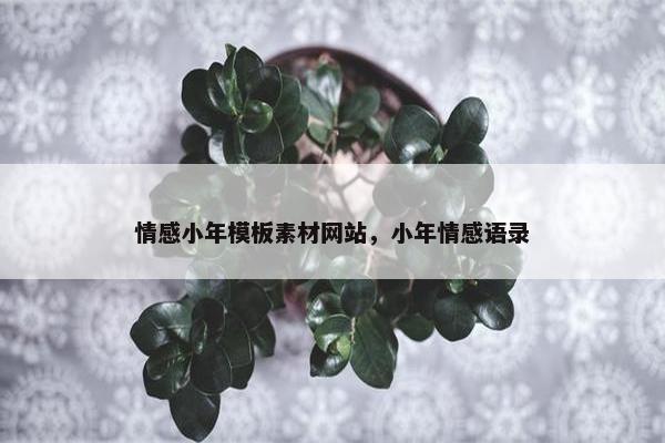 情感小年模板素材网站，小年情感语录