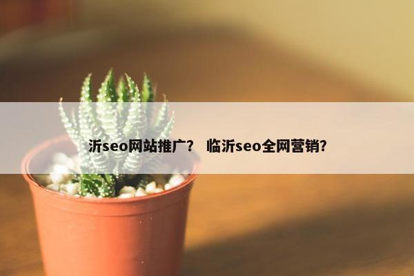 沂seo网站推广？ 临沂seo全网营销？