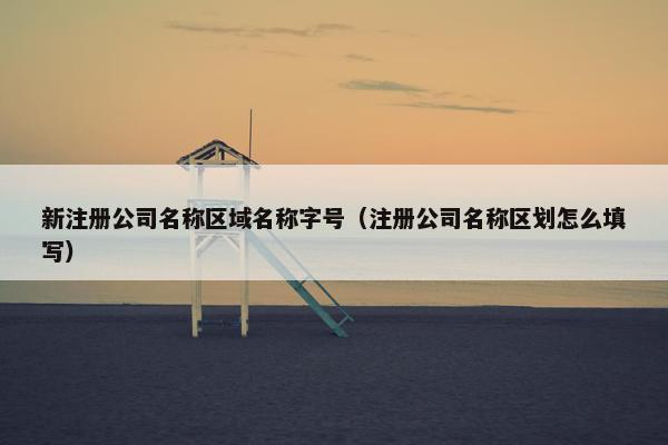 新注册公司名称区域名称字号（注册公司名称区划怎么填写）