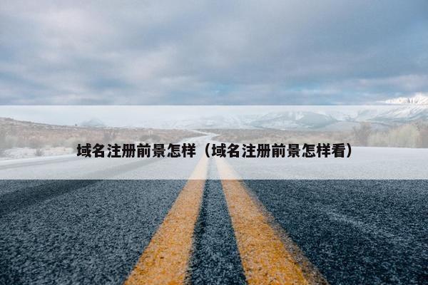 域名注册前景怎样（域名注册前景怎样看）