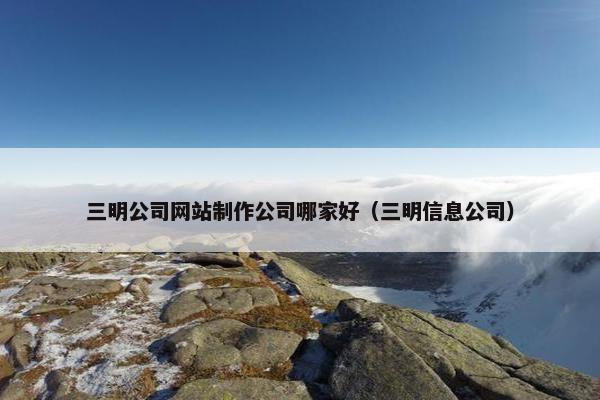 三明公司网站制作公司哪家好（三明信息公司）