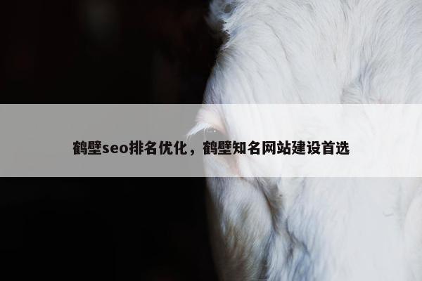 鹤壁seo排名优化，鹤壁知名网站建设首选