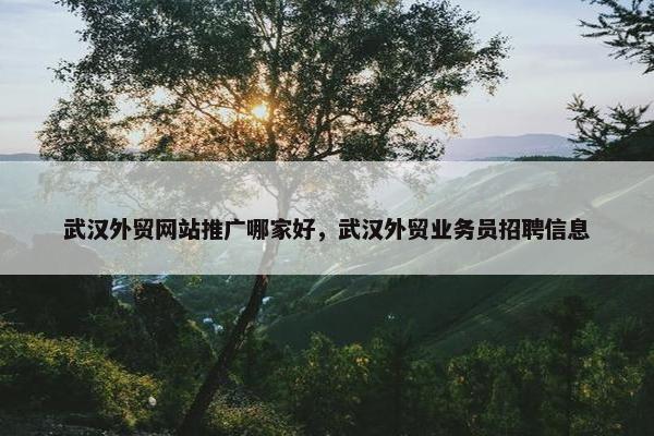 武汉外贸网站推广哪家好，武汉外贸业务员招聘信息