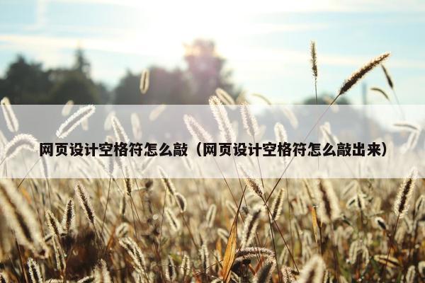 网页设计空格符怎么敲（网页设计空格符怎么敲出来）