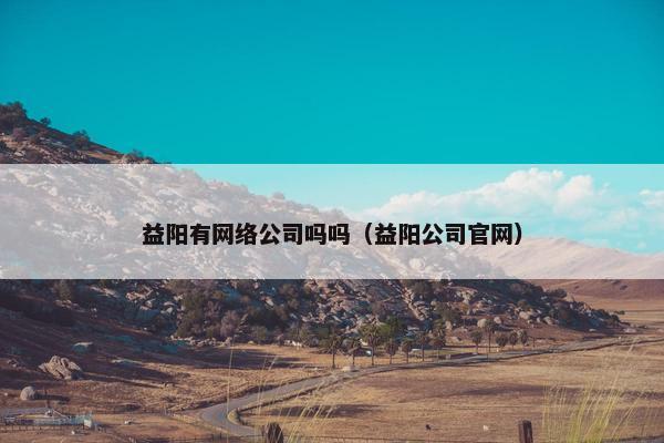 益阳有网络公司吗吗（益阳公司官网）
