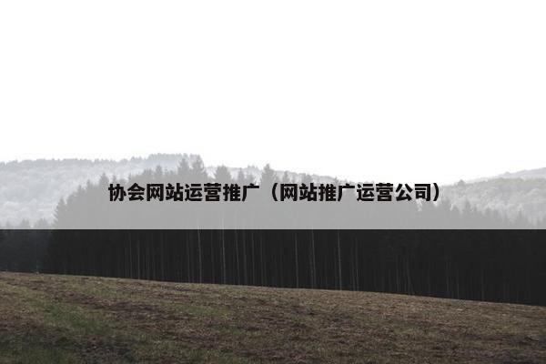 协会网站运营推广（网站推广运营公司）