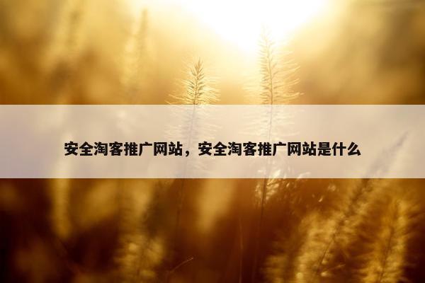 安全淘客推广网站，安全淘客推广网站是什么
