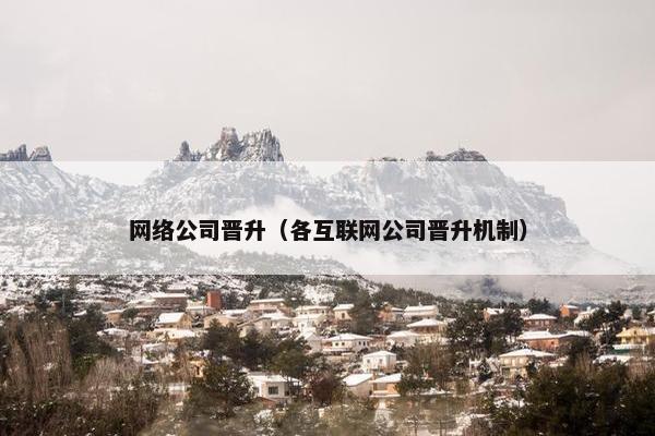 网络公司晋升（各互联网公司晋升机制）